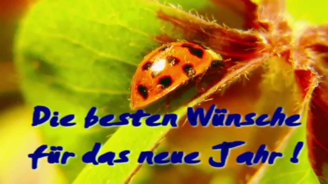 Lll Kurze Neujahrswnsche Schne Sprche Zum Neuen Jahr