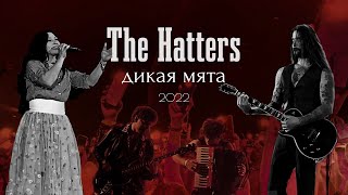 THE HATTERS (Шляпники) Live 4k | Концерт На Фестивале ДИКАЯ МЯТА | 18.06.2022
