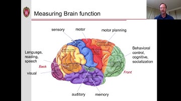 Functional MRI (fMRI) - 1: Contrast