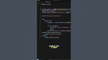 QUE SON LOS SOCKETS 💡? 🥵 #python #coding #programacion