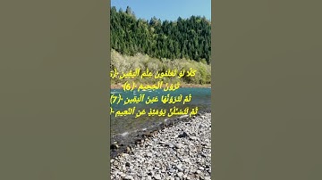 #سورة_التكاثر #ياسر_الدوسري #alquran #قرآن_كريم #راحة_نفسية #relaxing #اكسبلور #yasseraldossary