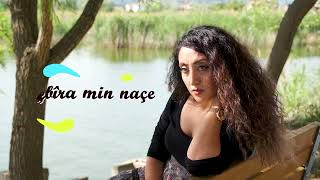 Naçe Biramin Naçe - Gülay İncaz -  Video - #official #kurdish Resimi