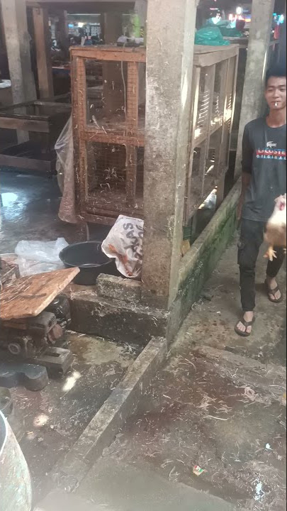 #Shorts pasar Extreme Ayam potong di indonesia
