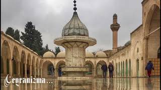 Onsekizbin Aleme Server... (Love)