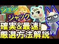 (あつ森)一番早くて確実なジュン&ジャック厳選方法が判明!手段を解説!(あつまれどうぶつの森)