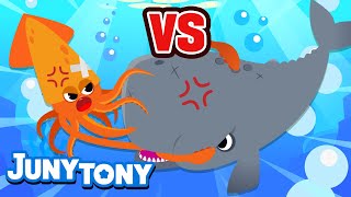 Cachalote vs Calamar Gigante | ¡Que Gane el Mejor! | Animales Marinos | Juny Tony en español