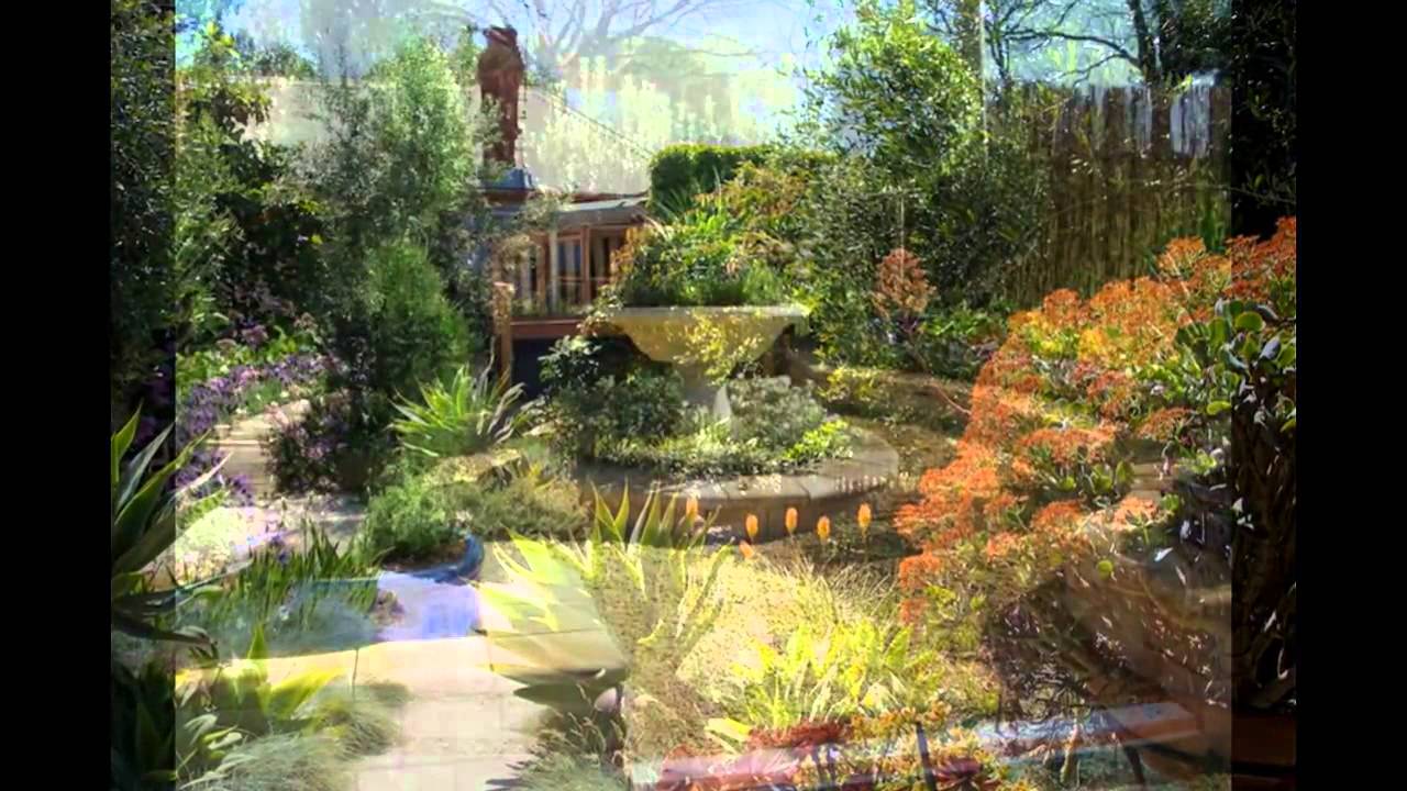 Garden design    garden designers los angeles