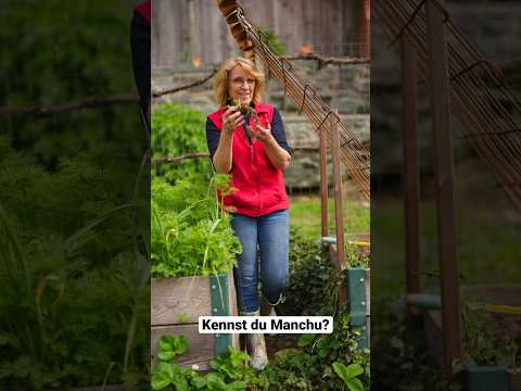 Video: Growing Container Iris Plants: Wie man Iris in Pflanzgefäßen anbaut