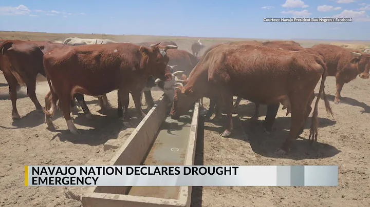 Navajo Nation declares drought emergency