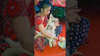 এরকম স্টাইলে খায় #doggys #doggielife #dog #doggie 🌹💜❤️ #dogizone #doggiecorgi #doggles #dogsworld