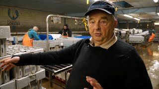 Ask Leroy! Ep. 16 | Lobster: From Boat to Buyer - Part 1
