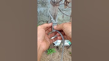 #diy, cách thắt nút dây đơn giản và chắc chắn