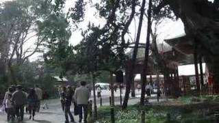 Tokyo 2010 2553.mp4