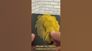 3D Printed Lion Head Layered Sculpture