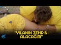 Haram Türk Filmi | Hülya'yı Yılan Isırıyor!