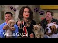 Will  grace but its just the cute dogs  will  grace