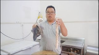 肥仔又拿清道夫磨刀了，這次搞個清道夫滷味，下酒好菜