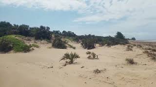video showing Ngomeni Beach, 100m to the house on sale for Kes 6.5m, call 0725 88 4003