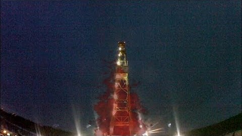 Red Rocking Rig Bird