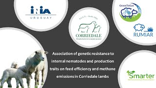 Genetic resistance to parasites vs production traits in Corriedale lambs  WCGALP2022