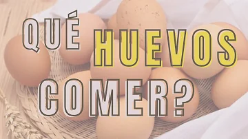 ¿Cuáles son los mejores huevos para comer?