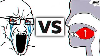 Mewing Jaw meme. Soyjak and Mewing Explained