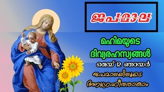 ജപമാല / മഹിമയുടെ ദിവ്യരഹസ്യങ്ങൾ /Rosary prayer may 12/ glorious mysteries Malayalam