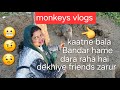 Kaatne bala bandar hame Dara raha hai #funny #video 