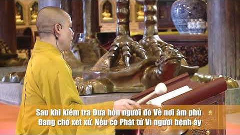 KINH DƯỢC SƯ - THƯỢNG TỌA THÍCH MINH QUANG| CHÙA BÁI ĐÍNH