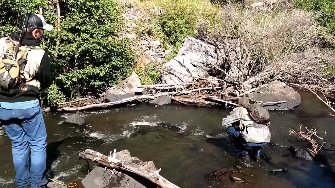 Fly-fishing Arizona! - YouTube