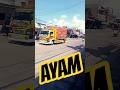 DETIK TRUK AYAM VS MINIBUS PAPASAN BROOO!#traffic #trukoleng #trukmitsubishi #ayam #support #shorts