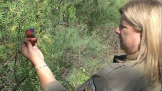 BioBlitz in New Mexico with TogetherGreen