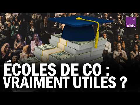 Faut-il SUPPRIMER les ÉCOLES DE COMMERCE ?