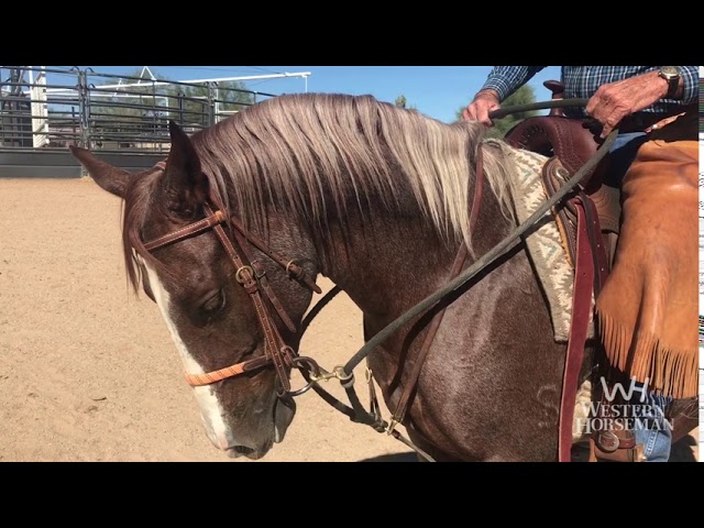 Al Dunning by Pro Choice Draw Rope Martingale