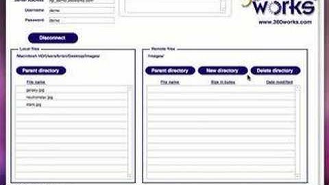 FTPeek demonstration video
