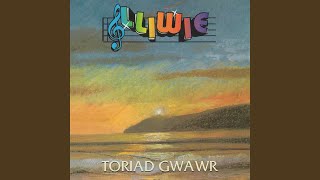 Y Cyfan Sydd Gennyf I'w Roi