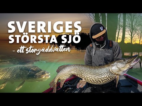 Video: Gädda Sjön