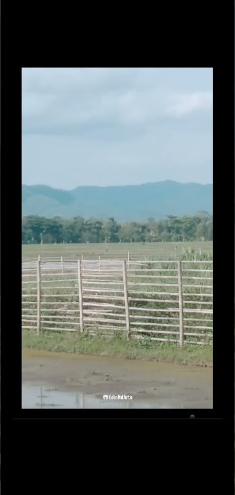 NYIDAM SARI - Manthous ||™ Bukit Menoreh