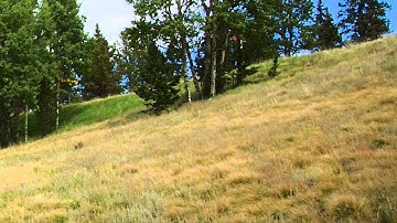 GitHub App for Mac Weirdness with SSH Keys (video 2)