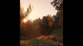 Красота в Far cry new dawn #shortsvideo