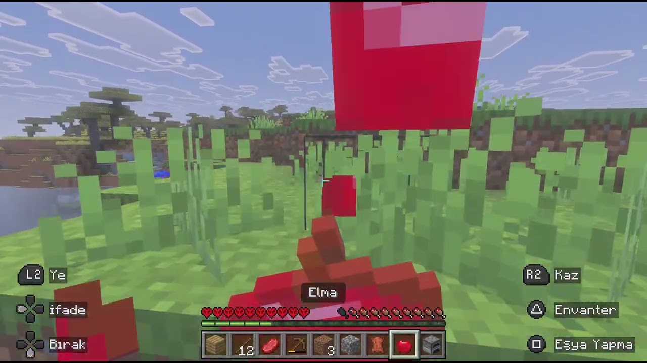 Minecraft hardcore 2