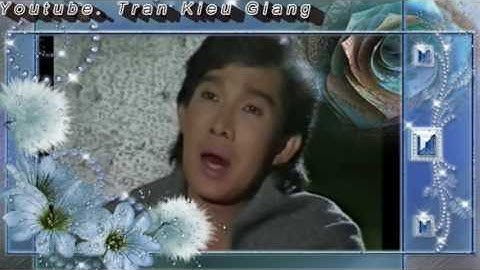 Vọng Kim Lang 1 ( Vũ Linh- Ngọc Huyền)