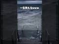 まじで笑える笑笑 #shorts