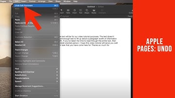 How to Undo in Apple Pages