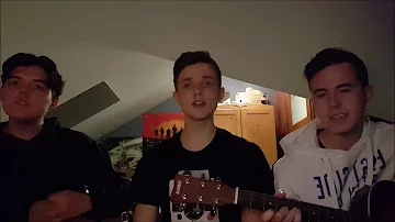 The Chainsmokers - Who Do You Love  ft. 5 Seconds of Summer (cover/w chords)