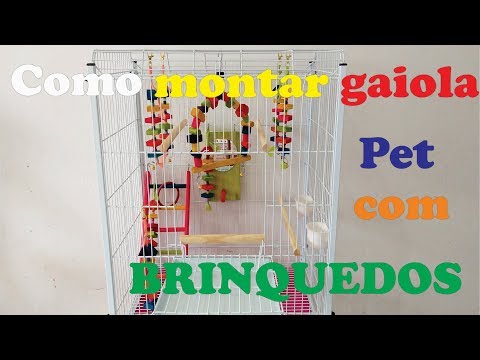 Vídeo: Como Equipar Uma Gaiola De Papagaio