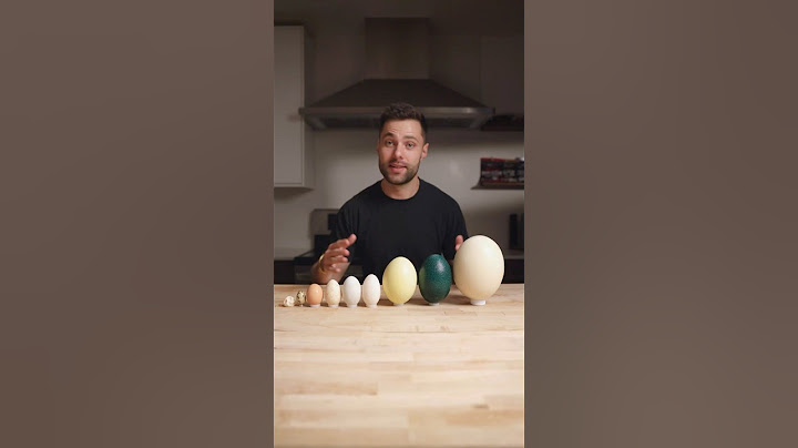 I Cooked the World’s CRAZIEST Eggs