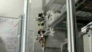 Stickybot - ROBORAMA.info