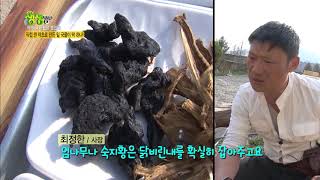 2TV 생생정보 - 직접 캔 약초로 만든 밑 국물! 해물 닭볶음탕.20180406