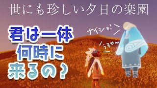 【sky】楽園の夕日初めて見た！ウミガメケープのひらひらが気になる【自然の日々初日・初見】